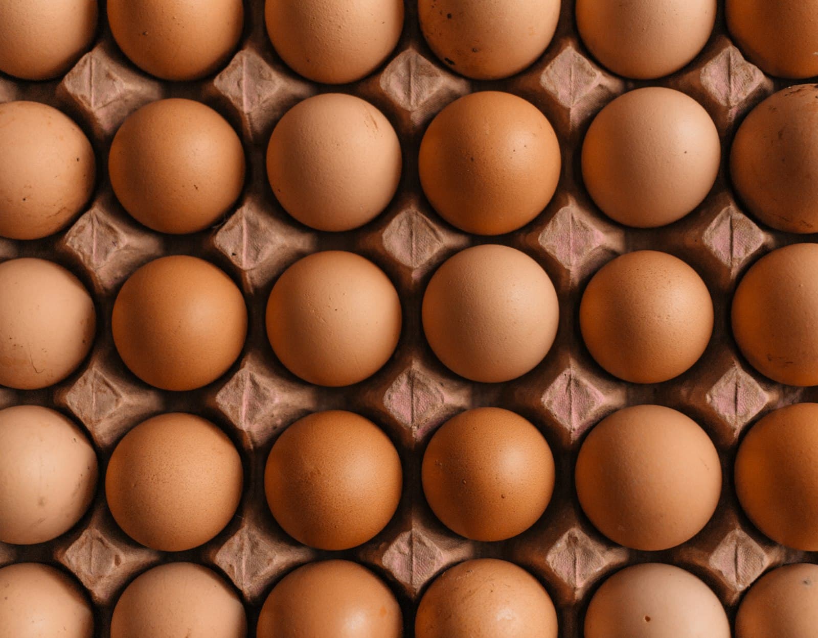 Fresh eggs, a simple protein staple