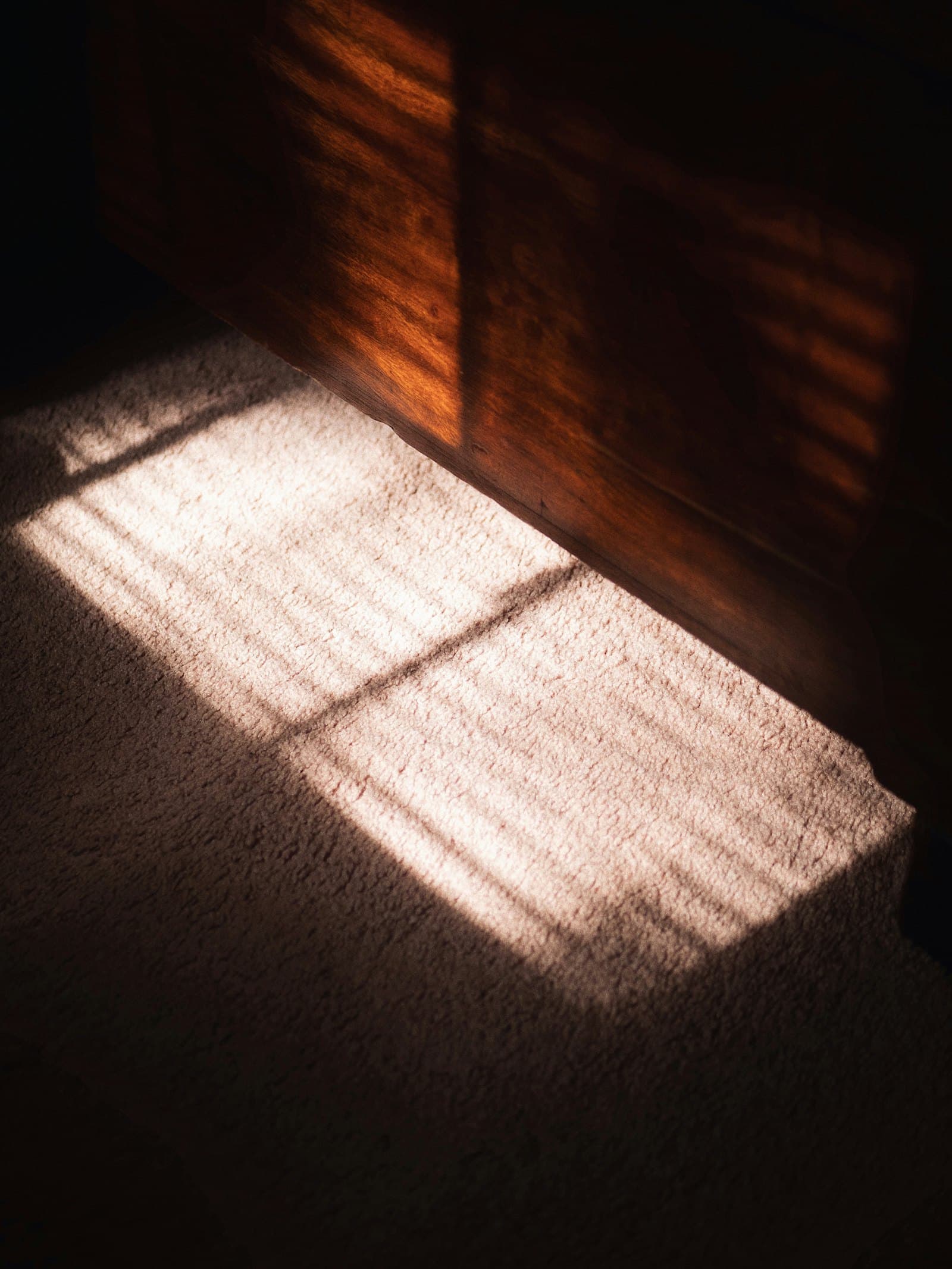 A quiet square of morning sunlight falling across a carpet