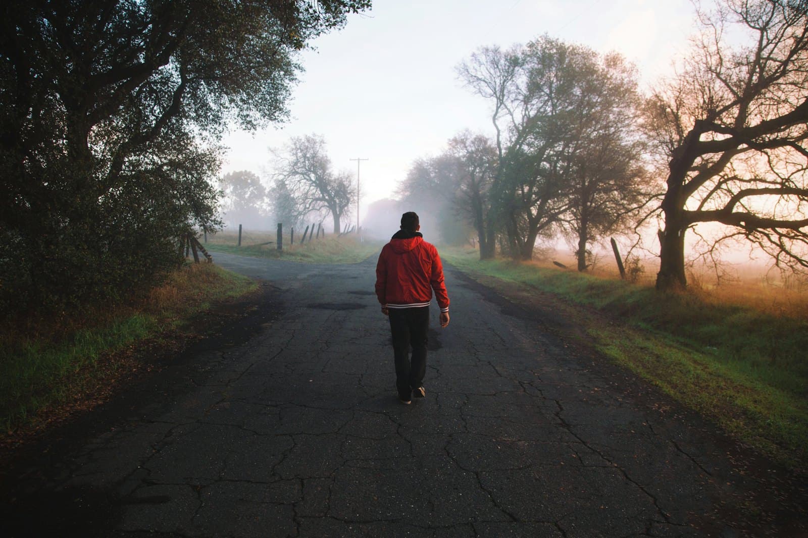 A person walking alone down a misty country road at first light